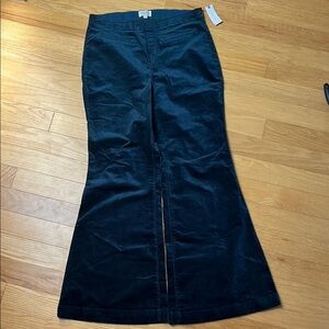 Pilcro Dark Teal Corduroy Pull On Pants